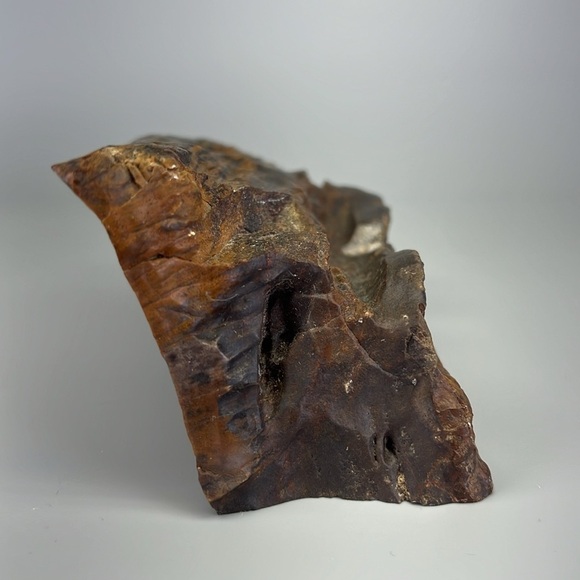 Petrified Wood - Picture 4 of 11